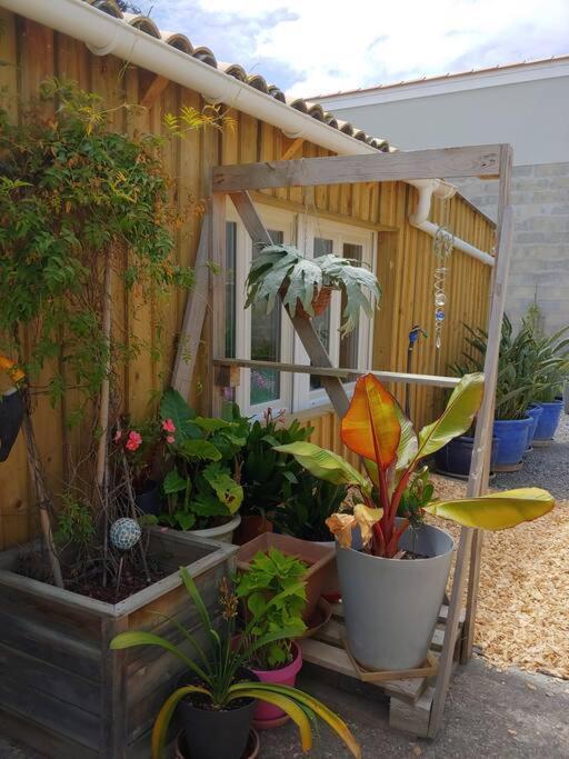 Cocooning Apartment